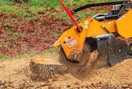 Best Lawn Watering Services  in Orchards, WA