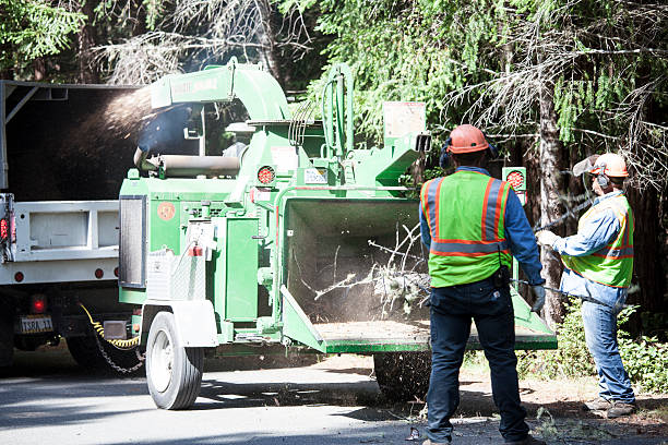 Best Leaf Removal  in Orchards, WA